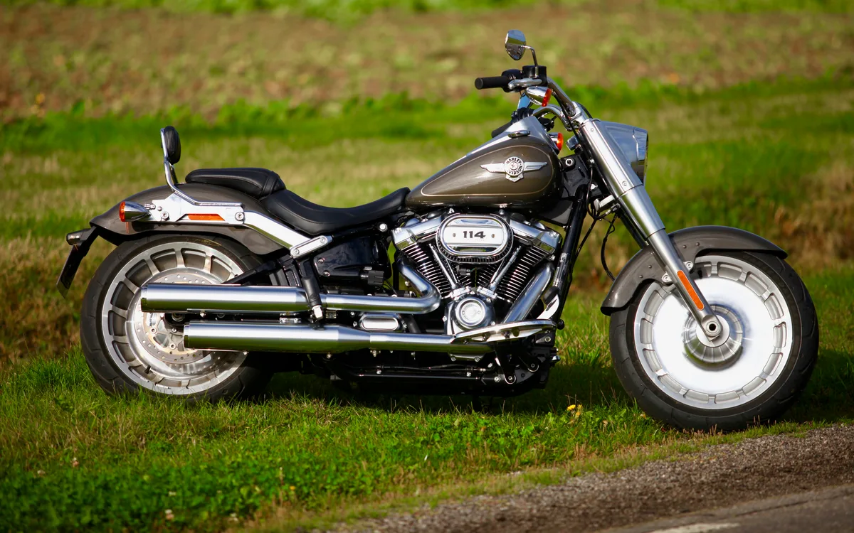 Harley Davidson Flstf